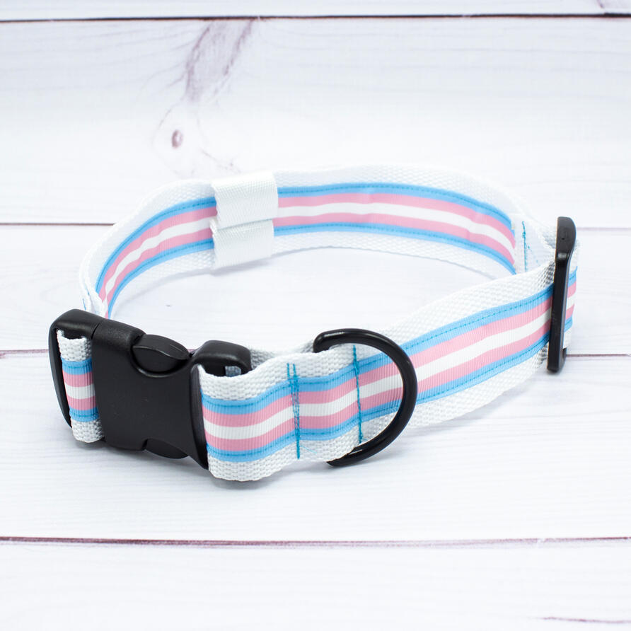 Transgender Flag Fursuit Collar