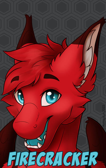 Firecracker Luggage Tag