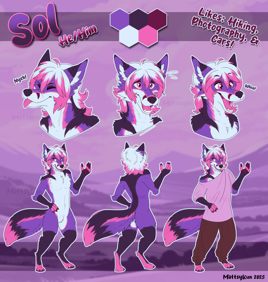 Sol Ref Sheet